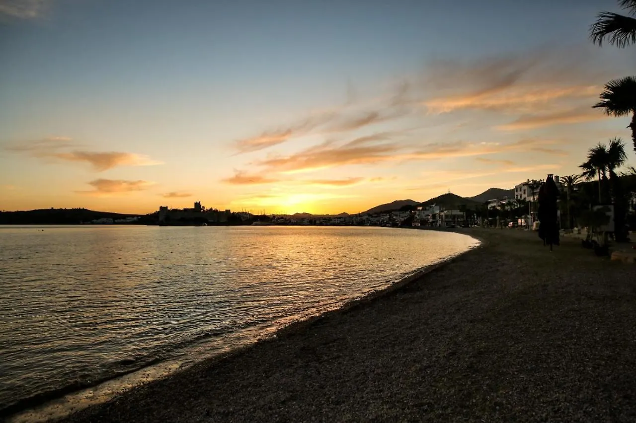 Odabasi Butik Otel Bodrum 0*,